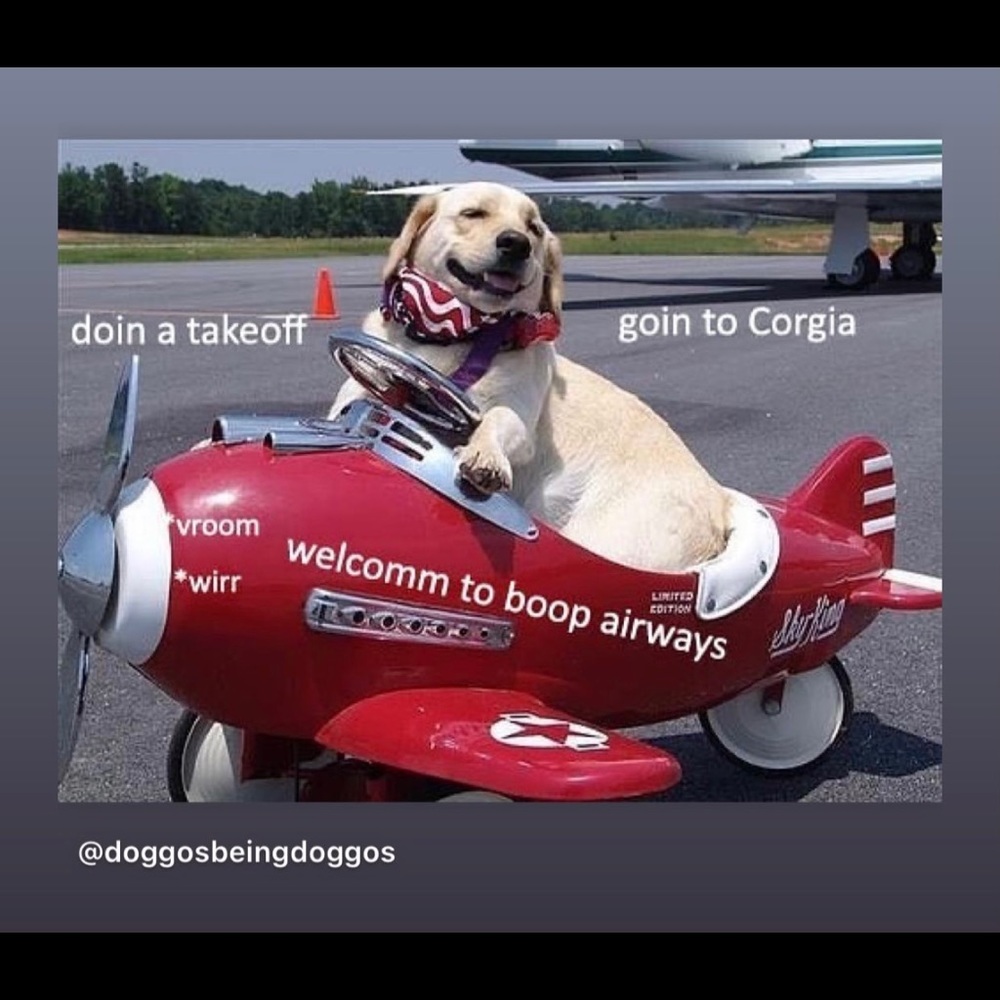 Meet your Posher, Dana